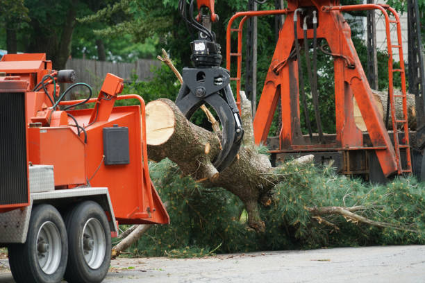 Mulching Services in Mebane, NC